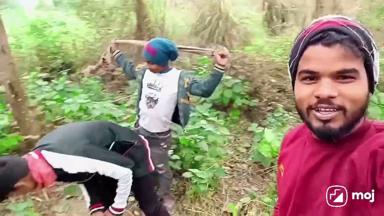 नया साल का पार्टी