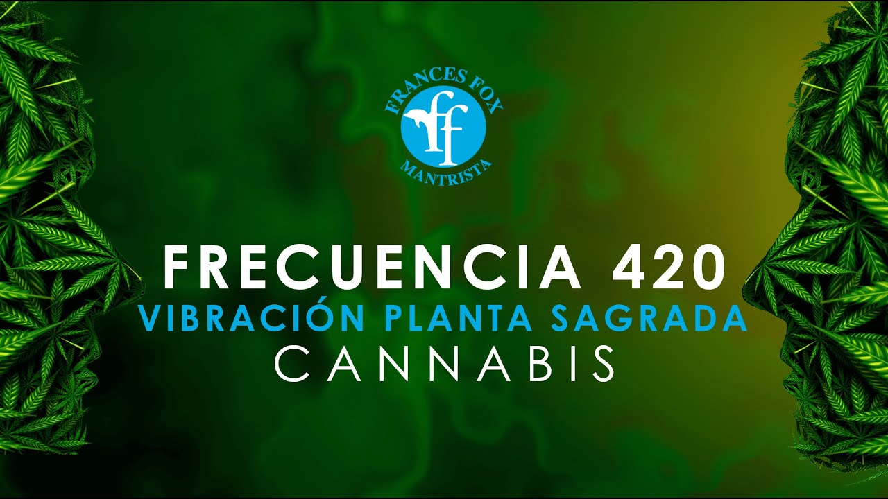 Cannabis 420: FOX SENSORY THERAPY 10 HOURS