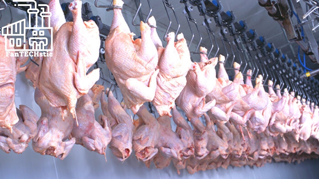 Ever Wondered How Chicken Meat Is Processed?! Join us on this FanTECHstic Factory Tour!