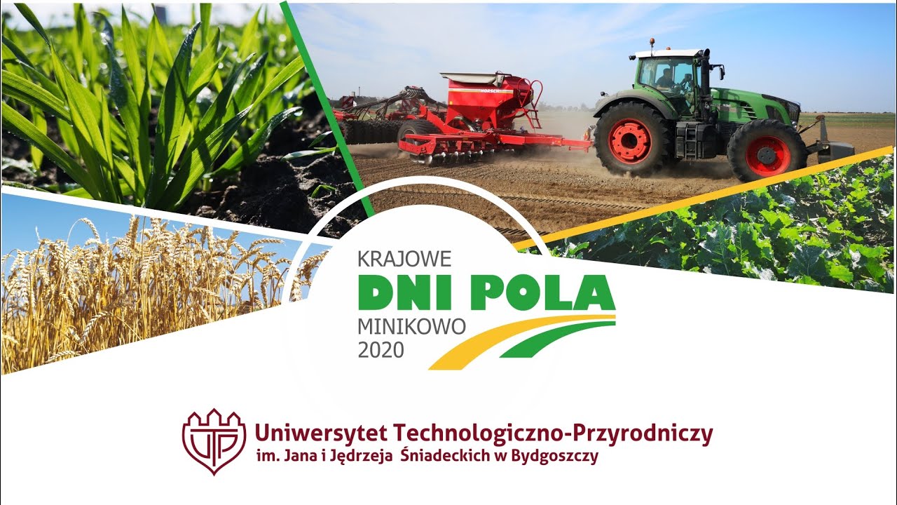 Krajowe Dni Pola 2020 - Ocena stanu wzrostu i rozwoju traw i mieszanek II termin