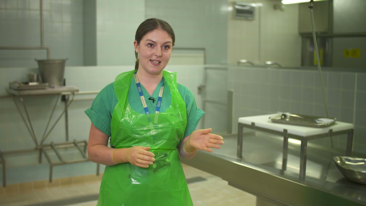 CUH Careers: Jess - Pathology Technician