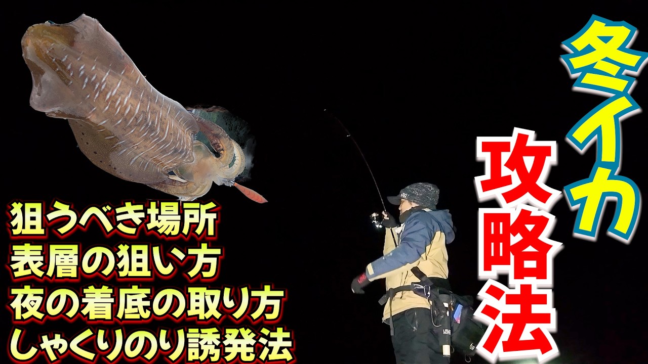 【有料級】冬イカエギング攻略法３選！しゃくったら乗ってた！じゃない、夜の着底の取り方、表層の狙い方、しゃくり乗りを誘発する方法実釣解説