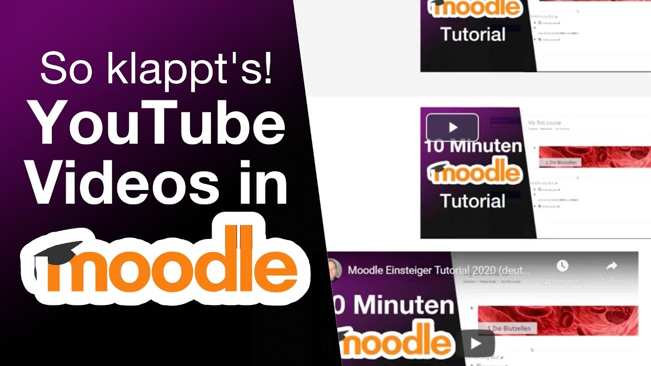 Kurz erklärt: 3 Wege wie du Youtube-Videos in Moodle einbauen kannst
