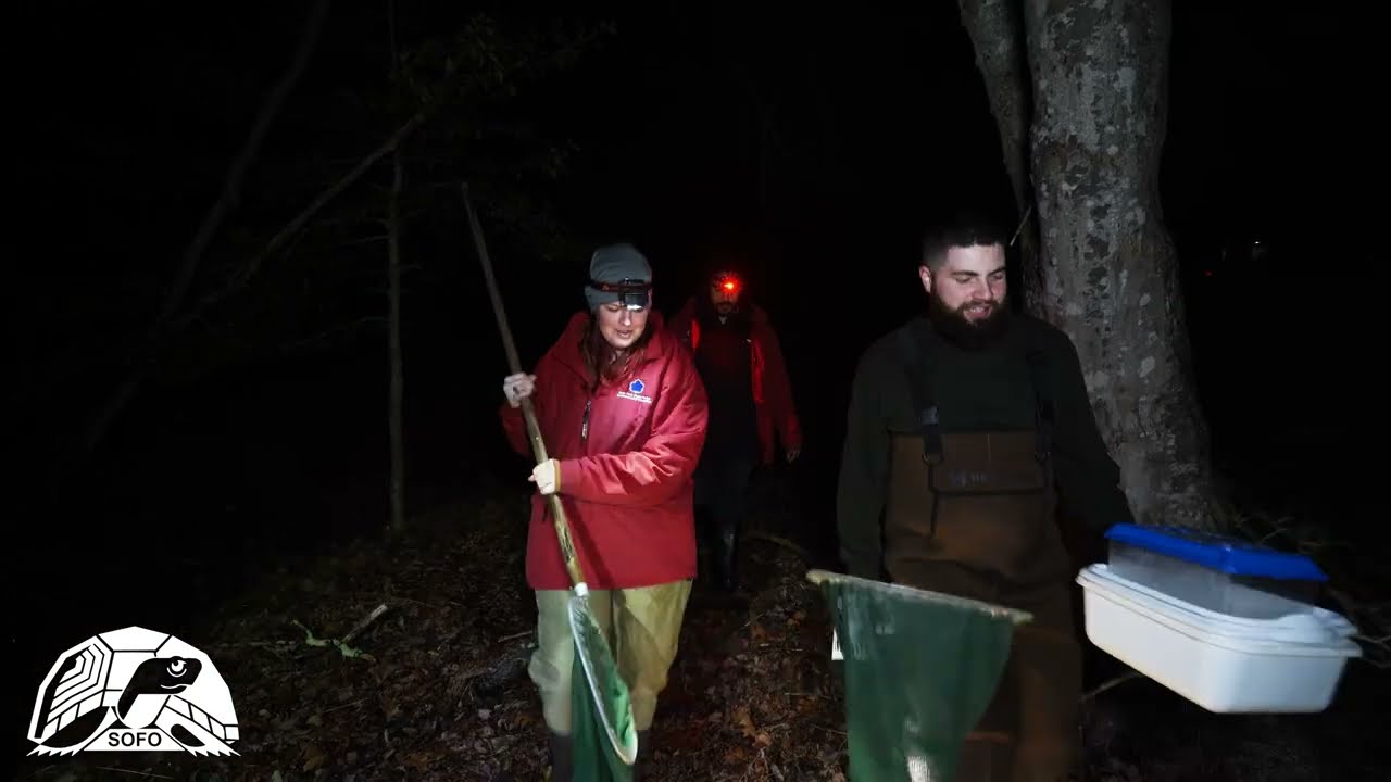 SOFO: Andy Sabin&rsquo;s Annual Blue-spotted Salamander Search