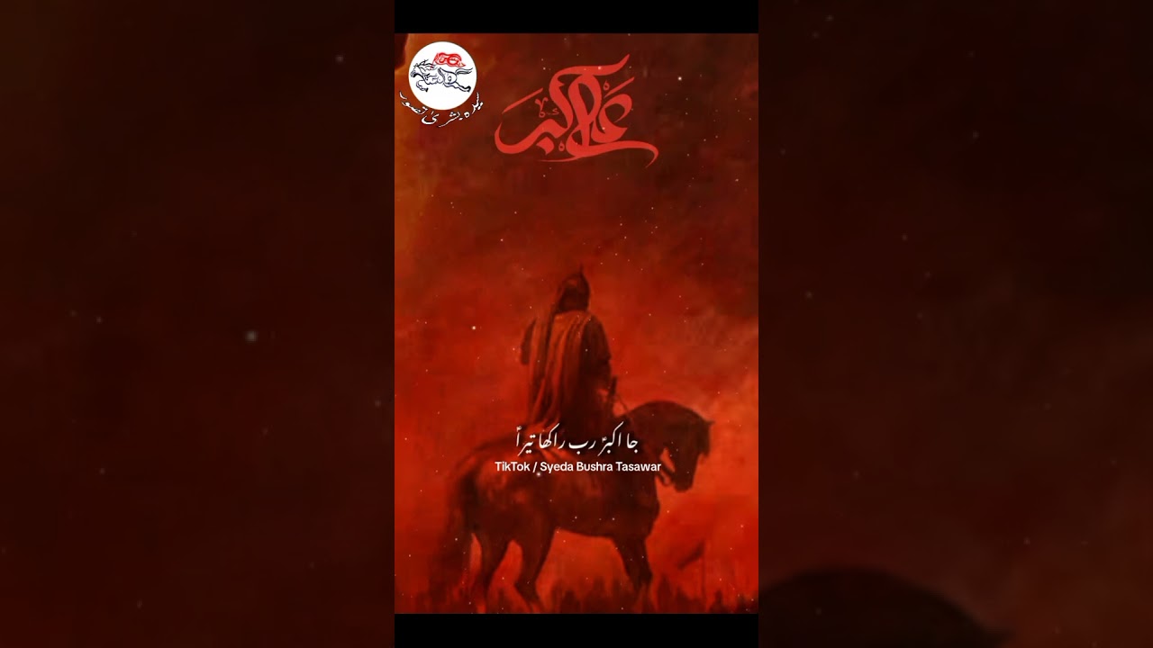 28 Rajab Noha Whatsapp status | Ja Akbar Rabb rakha tera 