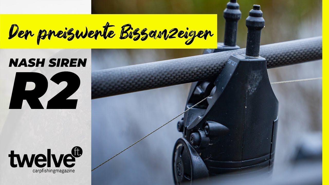 Nash Siren R2 - Bestes Preis-Leistungs-Verhältnis am Markt? | Einstellung | Bissanzeiger
