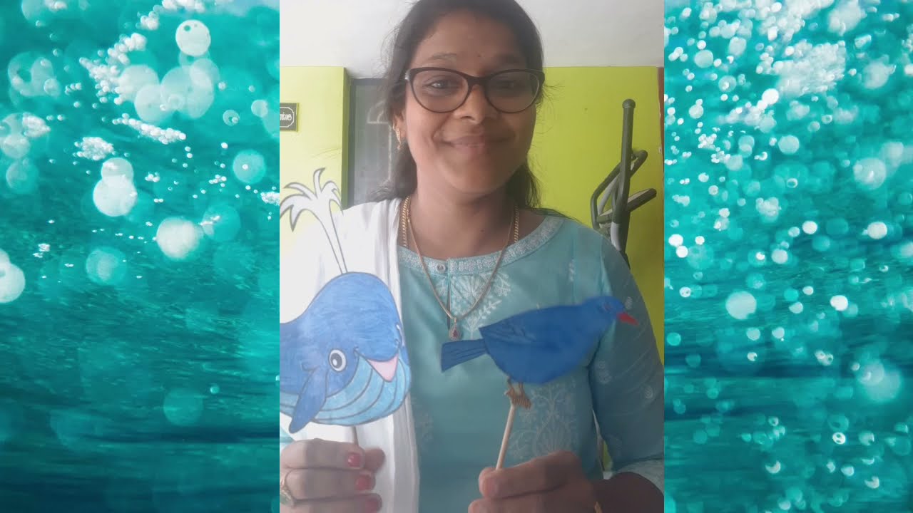 Blue Day song / Blue bird Blue bird/ Blue colour rhyme for kindergarteners /Diana's Classroom 🙂