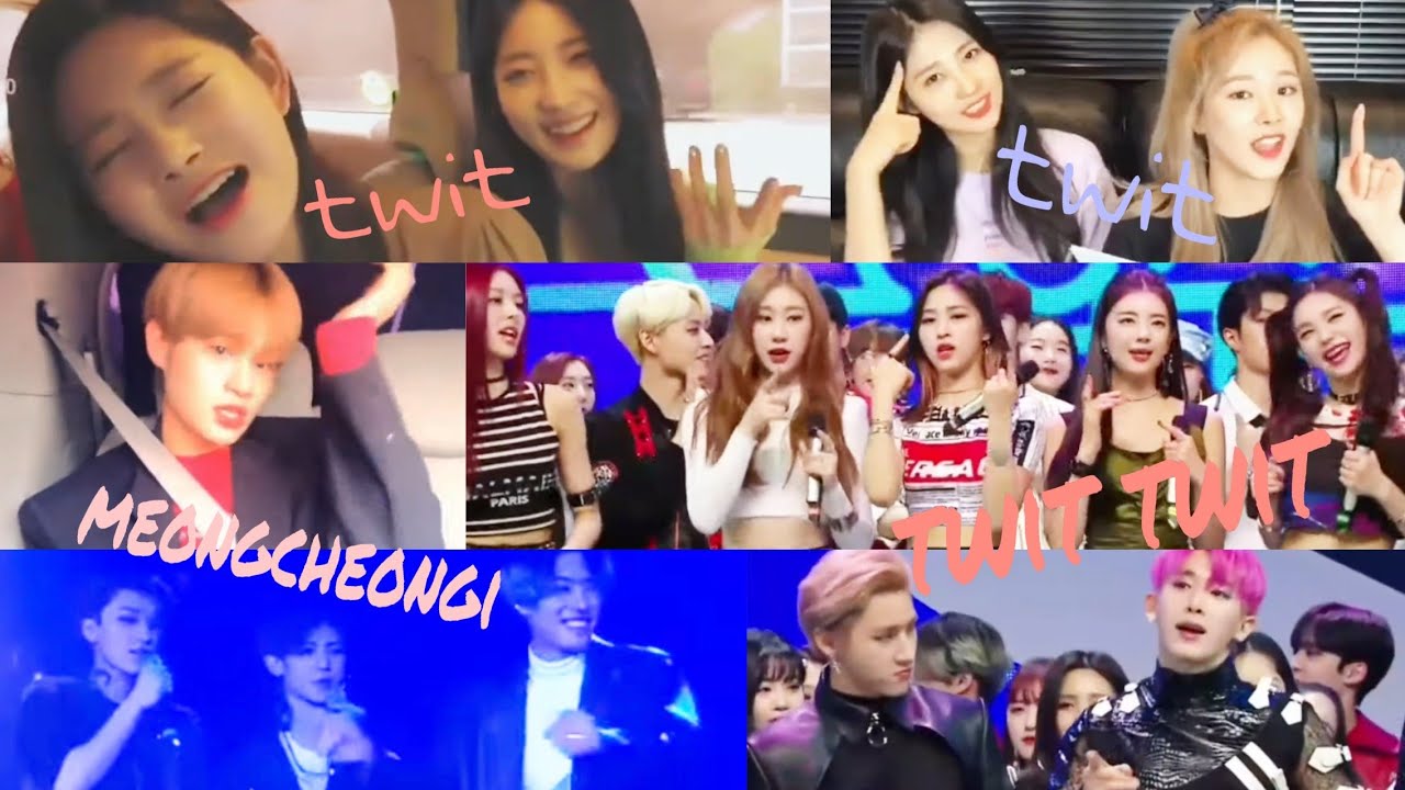 Idols sing/dance/react to MAMAMOO (마마무) HWASA (화사) TWIT (멍청이)