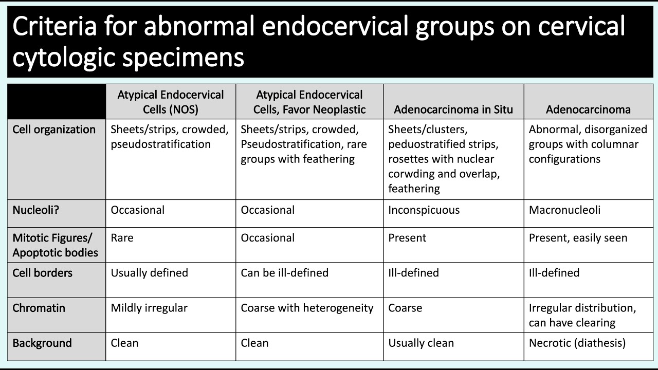 Cervical Cytology - Glandular