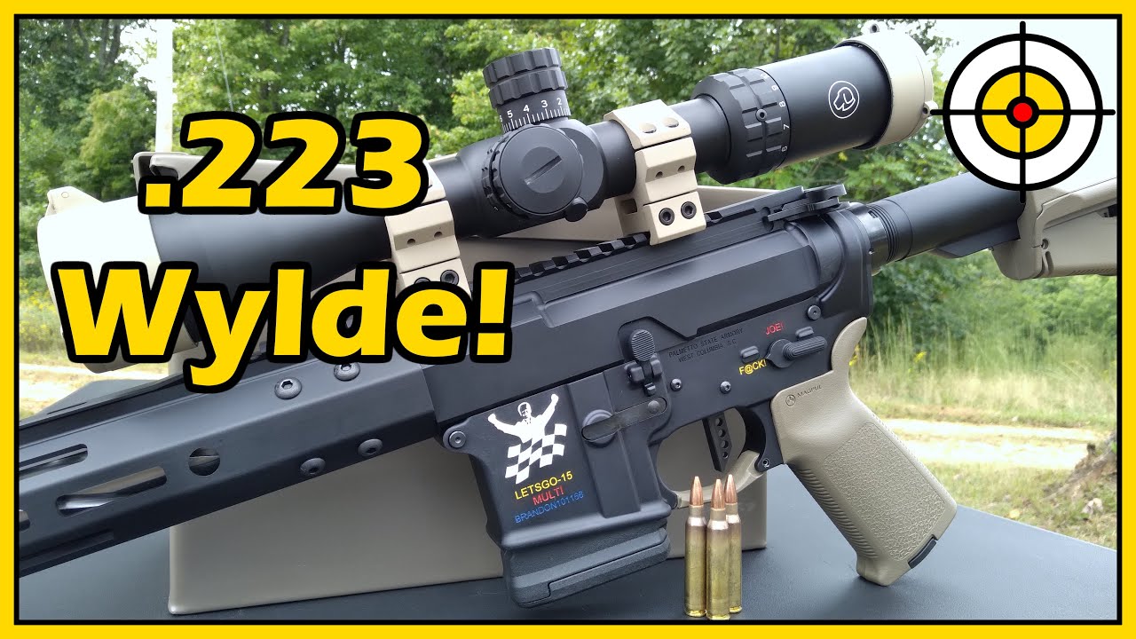 Let's Get WYLDE! .223 Wylde AR-15!