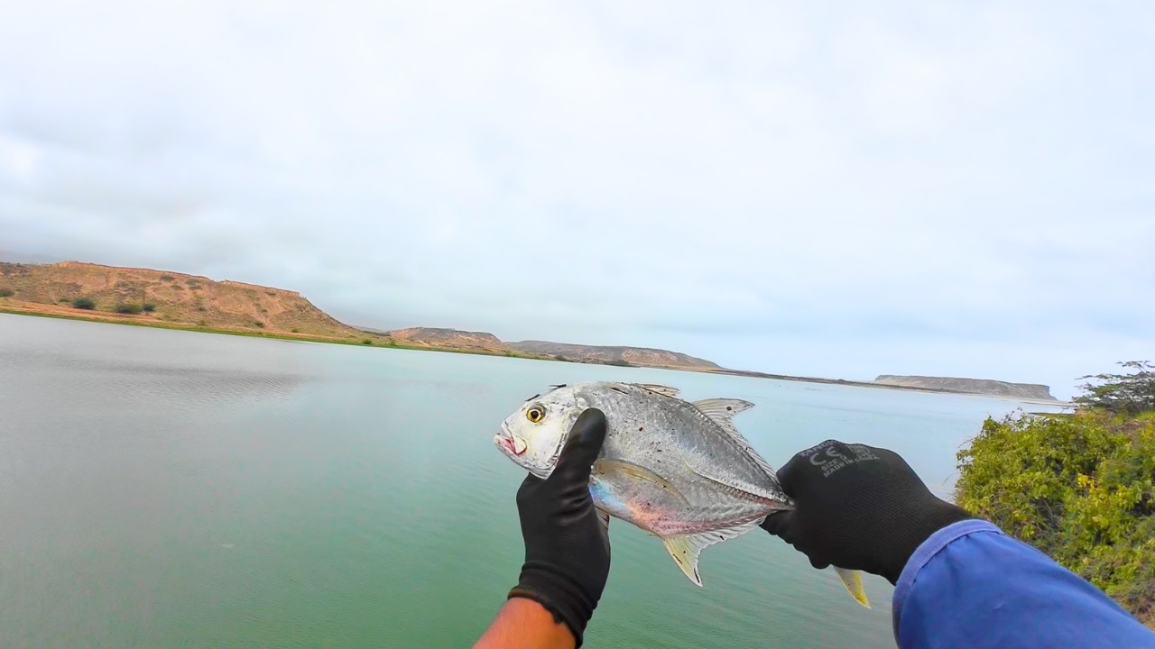 Trevally Fishing With Jigs In The Oman Wilderness!