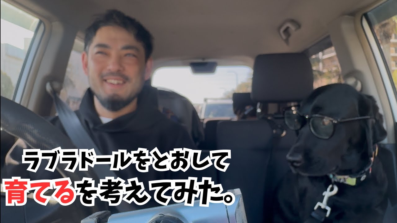 ラブラドールを通して育てるを考えてみた。