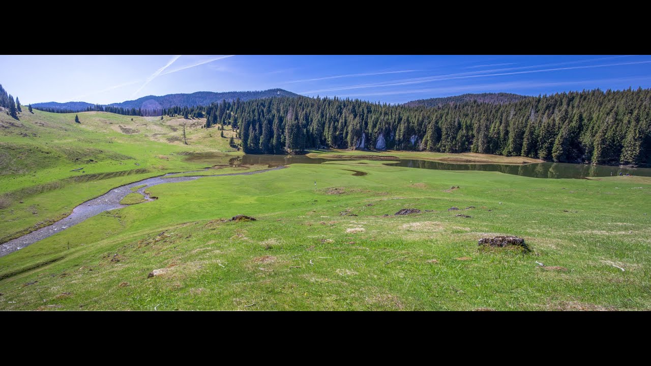 Padis | Poiana Ponor | Parcul Natural Apuseni (4k)