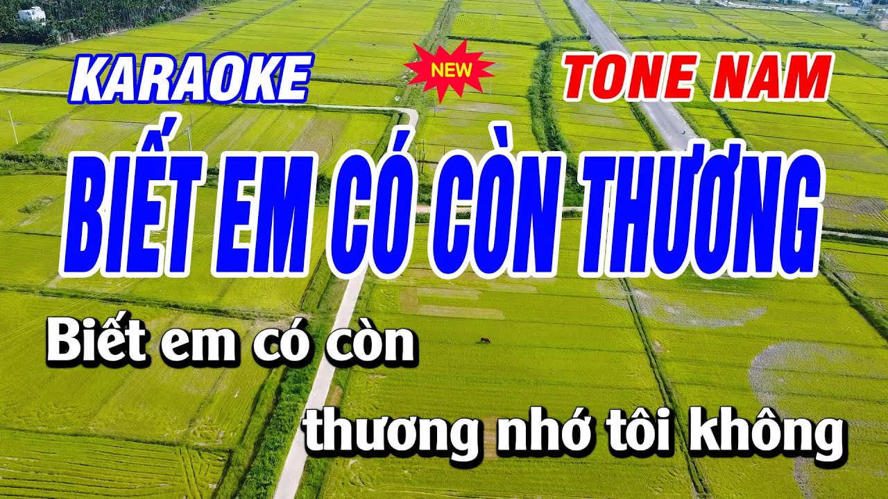 🎤 Biết Em Có Còn Thương - Karaoke Tone Nam  | Karaoke Beat Chuẩn 🎶 | Bạch Duy Sơn