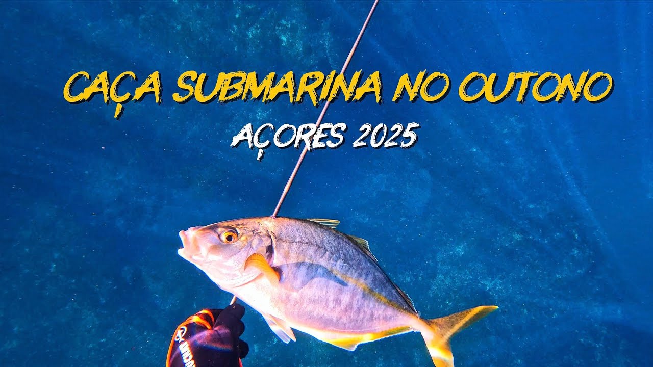 Caça Submarina no Outono - Açores 2025