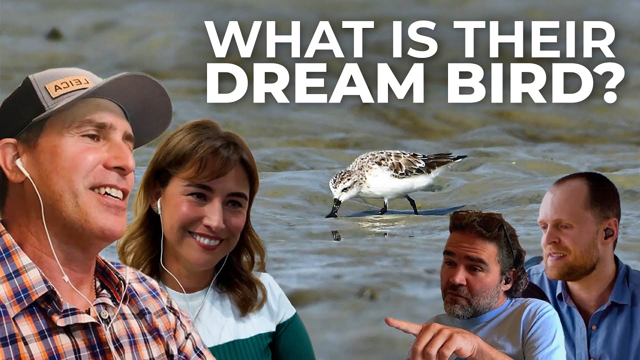 Quick-fire Questions for Birding By Bus | Chirp from Episode 12