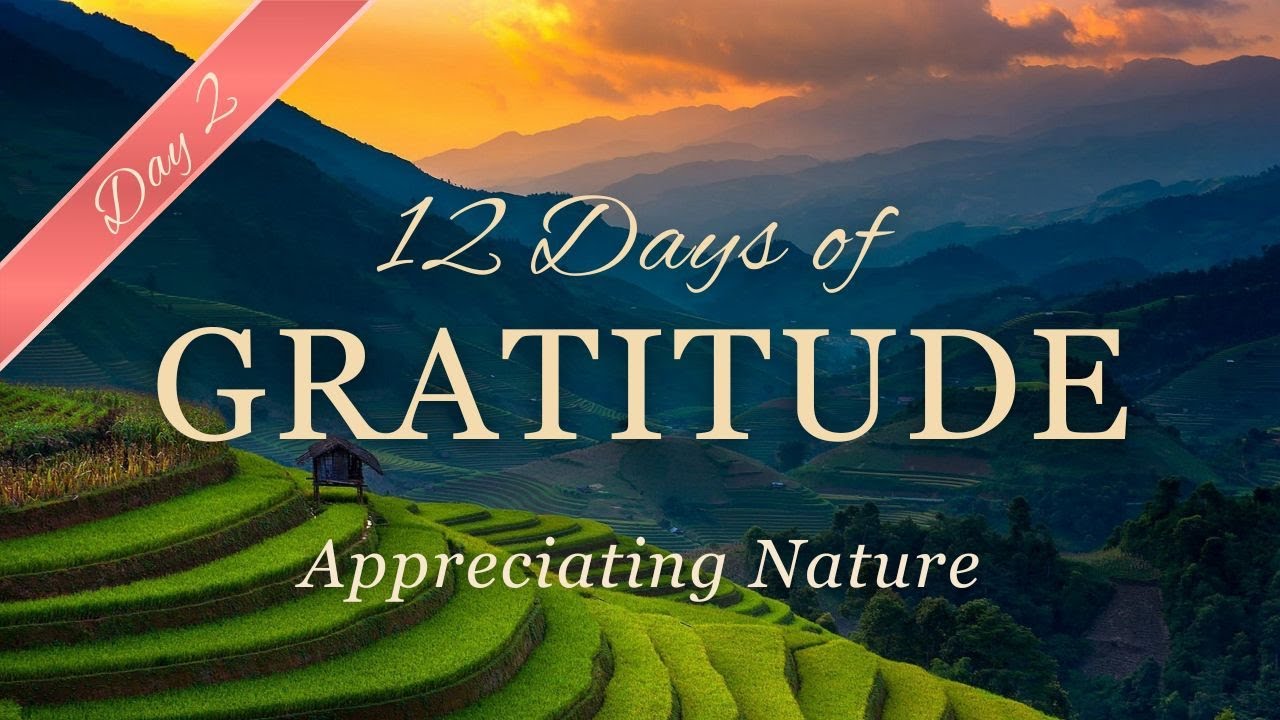 12 Days of GRATITUDE Affirmation Meditation ✨  DAY 2 ✨ Appreciating Nature 🌱🌲