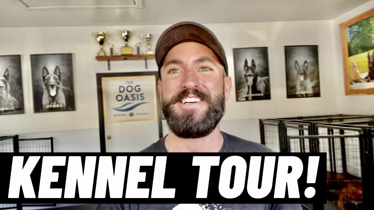 TOUR OF MY KENNEL + MY FAVORITE DOG TREATS!