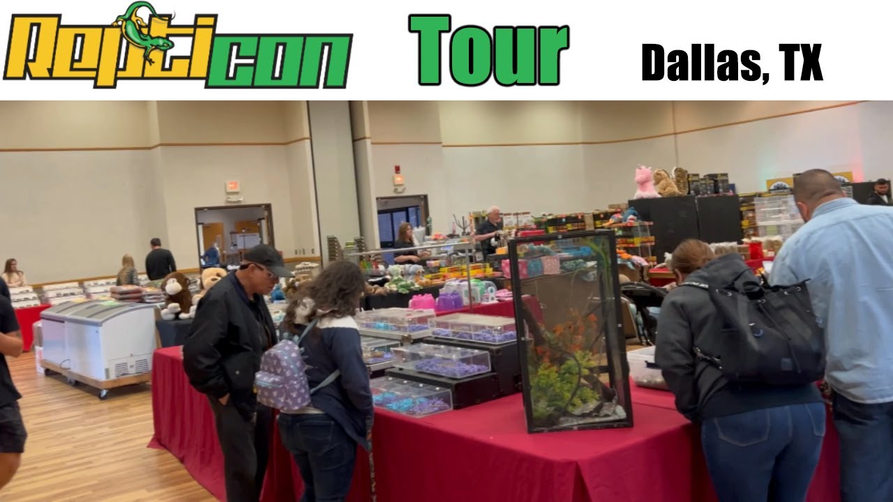 MY FIRST NARBC REPTILE EXPO IN OVER A YEAR! (Dallas, Texas, November 2021)