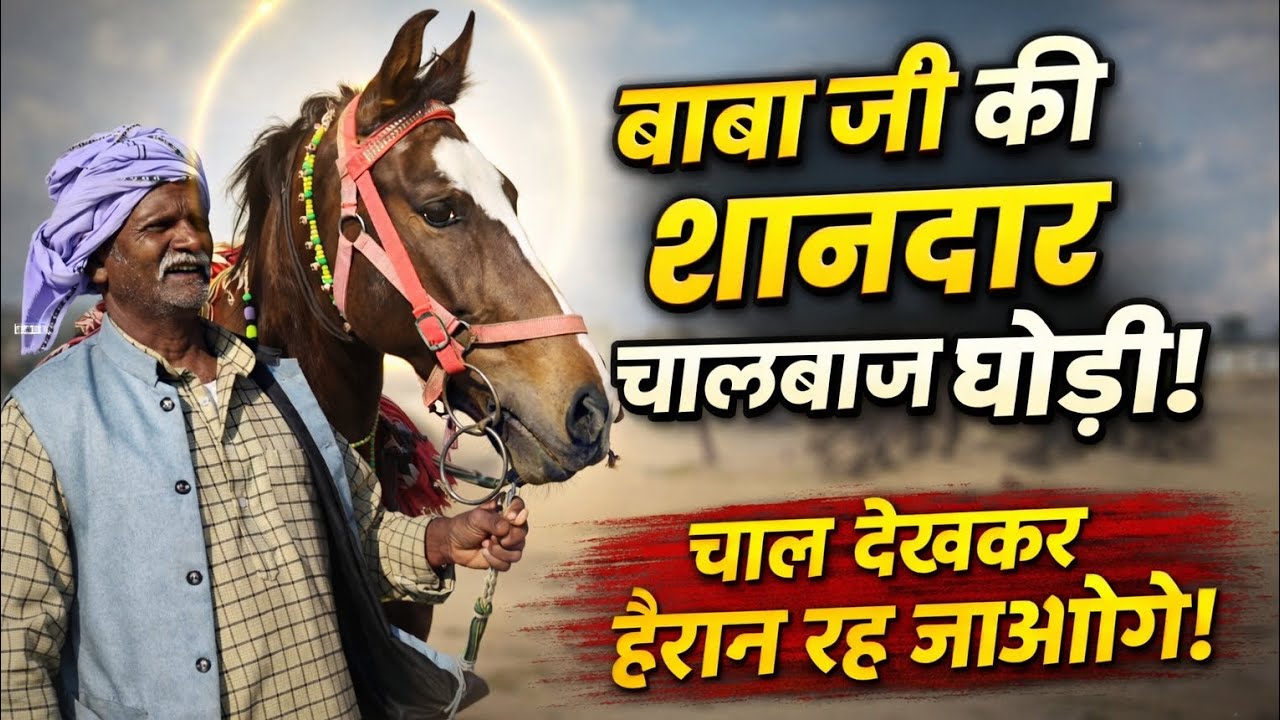 क्या दिलकश घोड़ी है, भाई😊♥️🐎