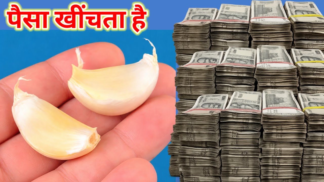 क्या आपको पता हैं लहसून पैसा खींचता हैं, मिल जाएं तो छोड़ना मत 😱 #vastushastra #upay