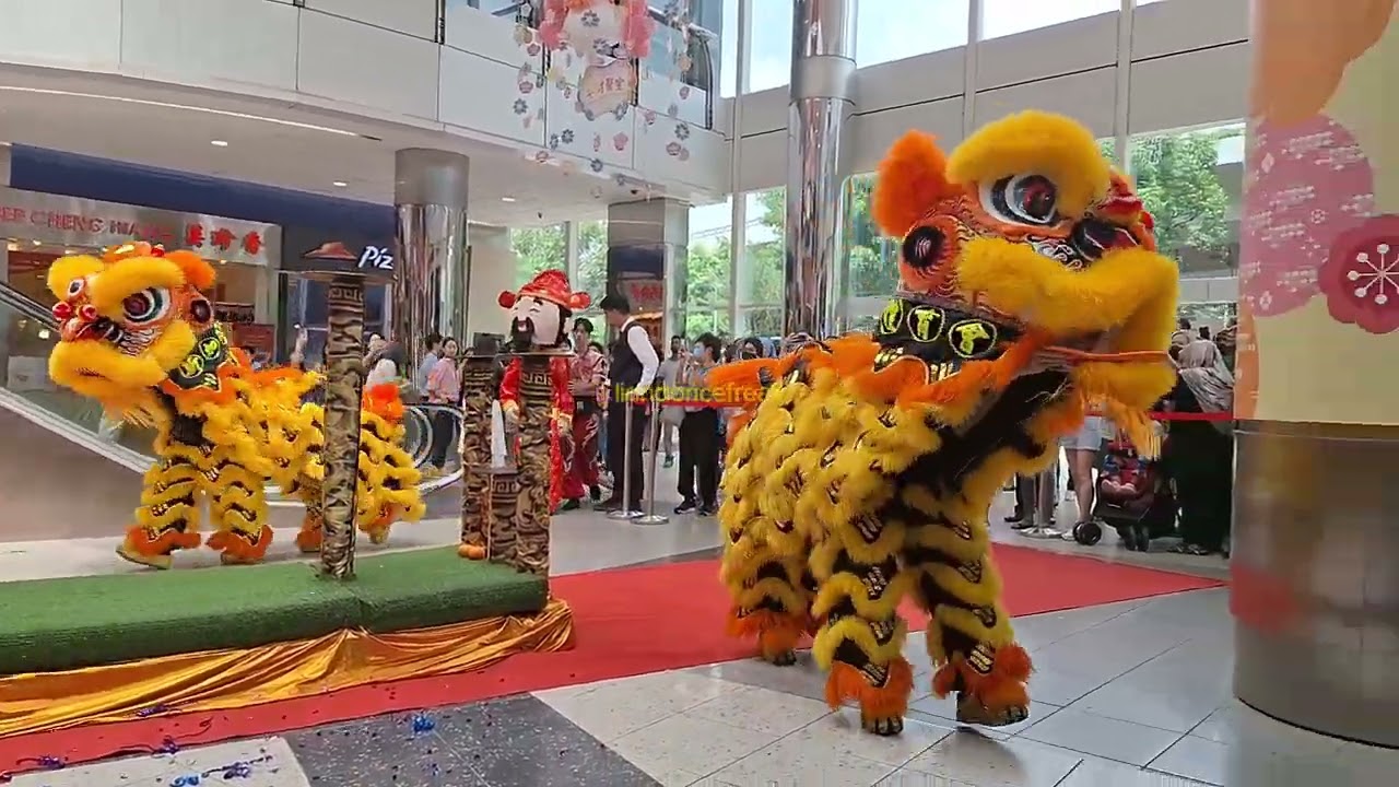 CNY 2024 - Acrobatic Lion Dance and War Drums by 新加坡藝威體育會 Yiwei at Harbourfront Centre Singapore