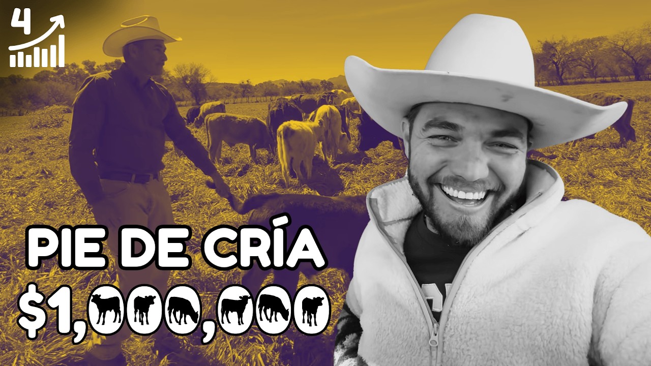Es negocio ser ganadero? 