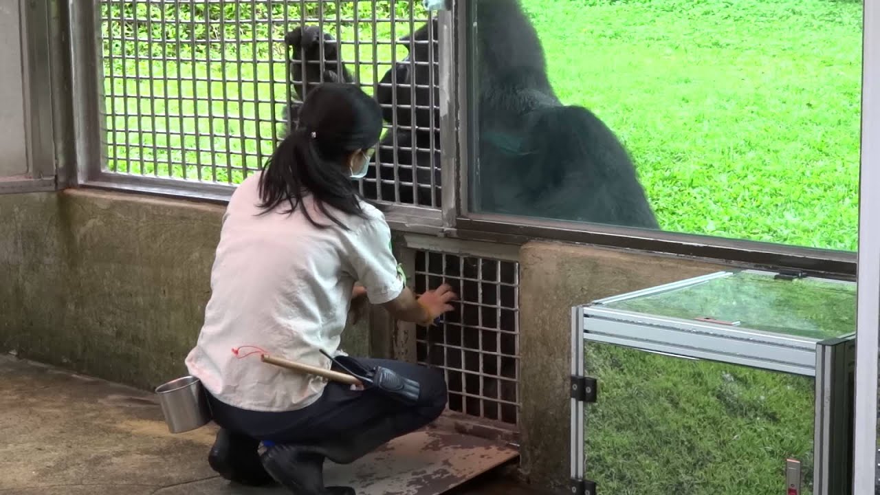 台北市立動物園 金剛寶寶上課20150510