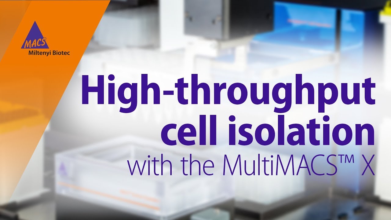 Automation meets cell separation: High-throughput cell isolation with the MultiMACS&trade; X