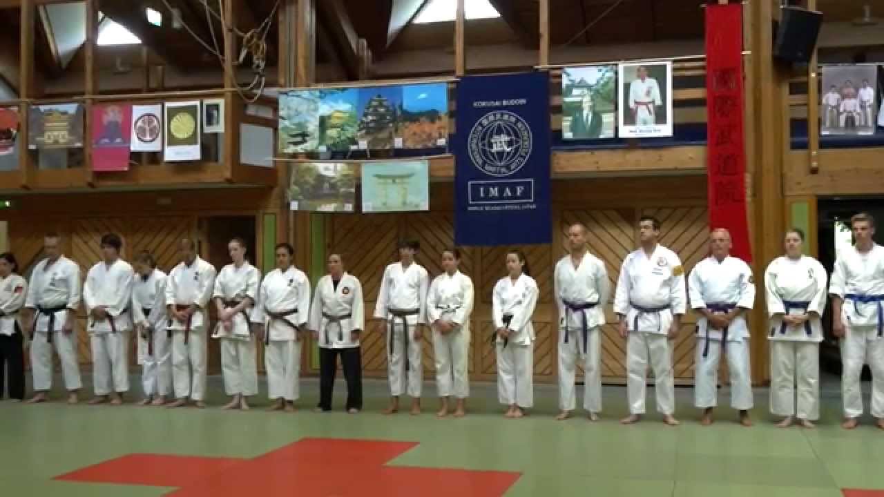 IMAF- Germany SÕ - GÕ BUDÕ TAIKAI Sommer 2015