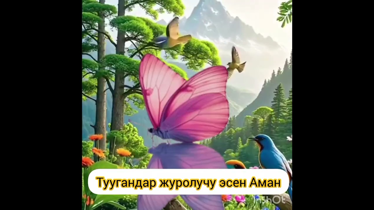 Менин Бир туугандарым дайыма бар болсун!!!