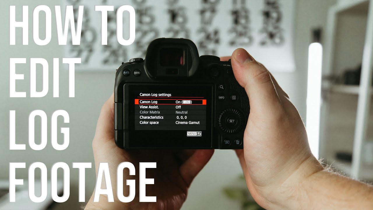 the easiest way to convert LOG footage (Gamut LUT review)