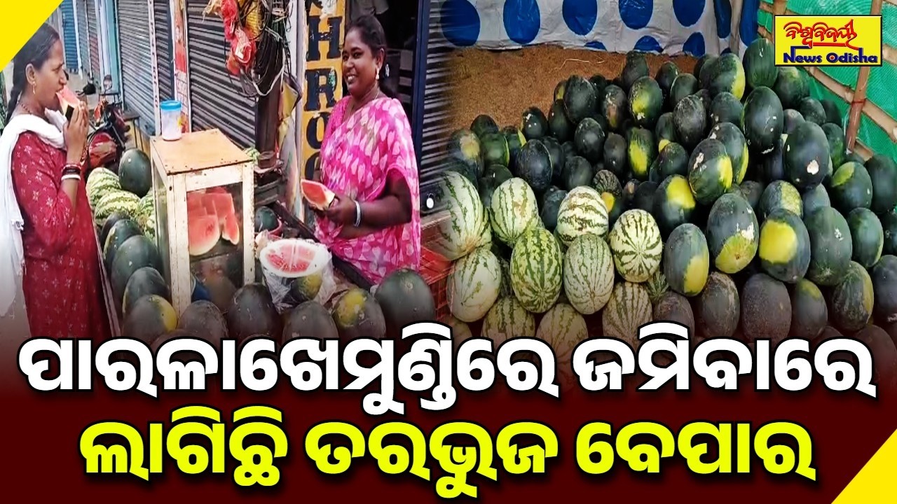 ପାରଳାଖେମୁଣ୍ଡିରେ ଜମିବାରେ ଲାଗିଛି ତରଭୁଜ ବେପାର | GAJAPATI NEWS | BISWABIJAYEE