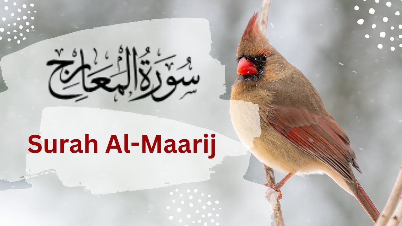 New beautiful Quran recitation-Best heart touching tilawat Relaxing Recitation Surah Al-Maarij.