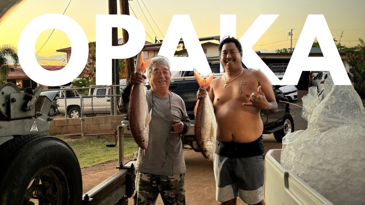 Bottom Fishing for Opakapaka (Hawaiian Pink Snapper) with Uncle