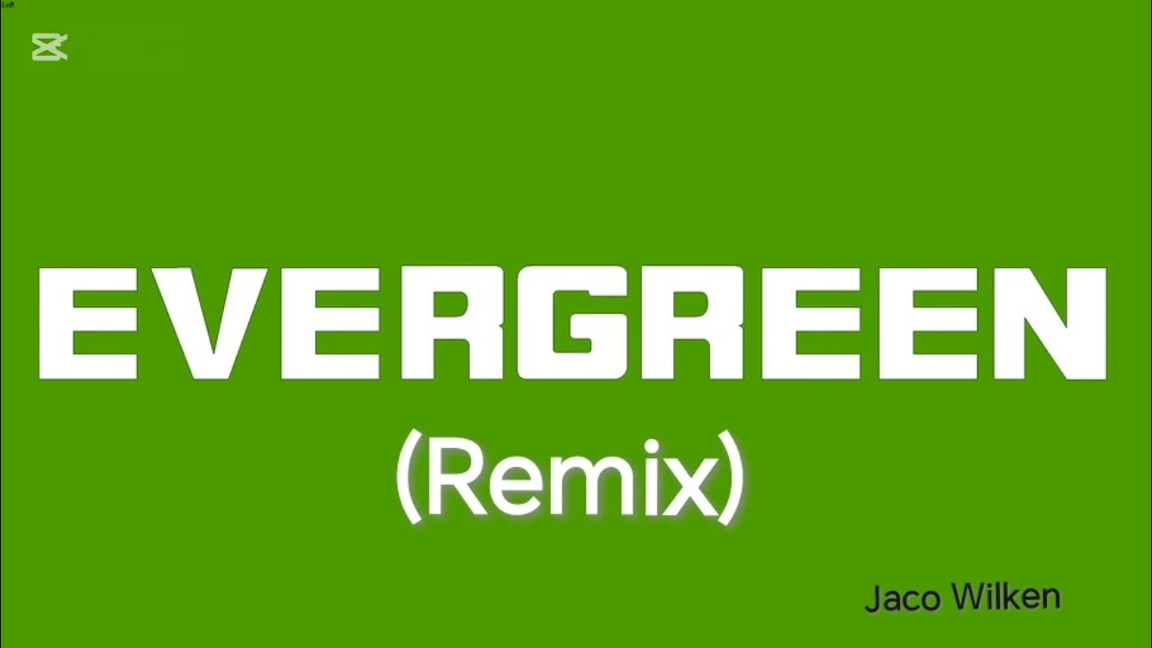 Evergreen (Remix) 