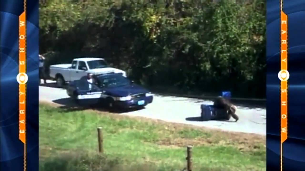 Escaped Chimp Attacks Police Car