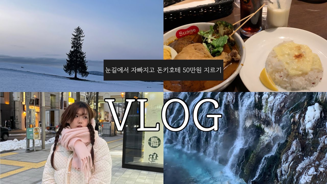 VLOG 우당탕탕 3박4일 나홀로 삿포로여행 | 크리스마스트리&흰수염폭포, 돈키호테FLEX