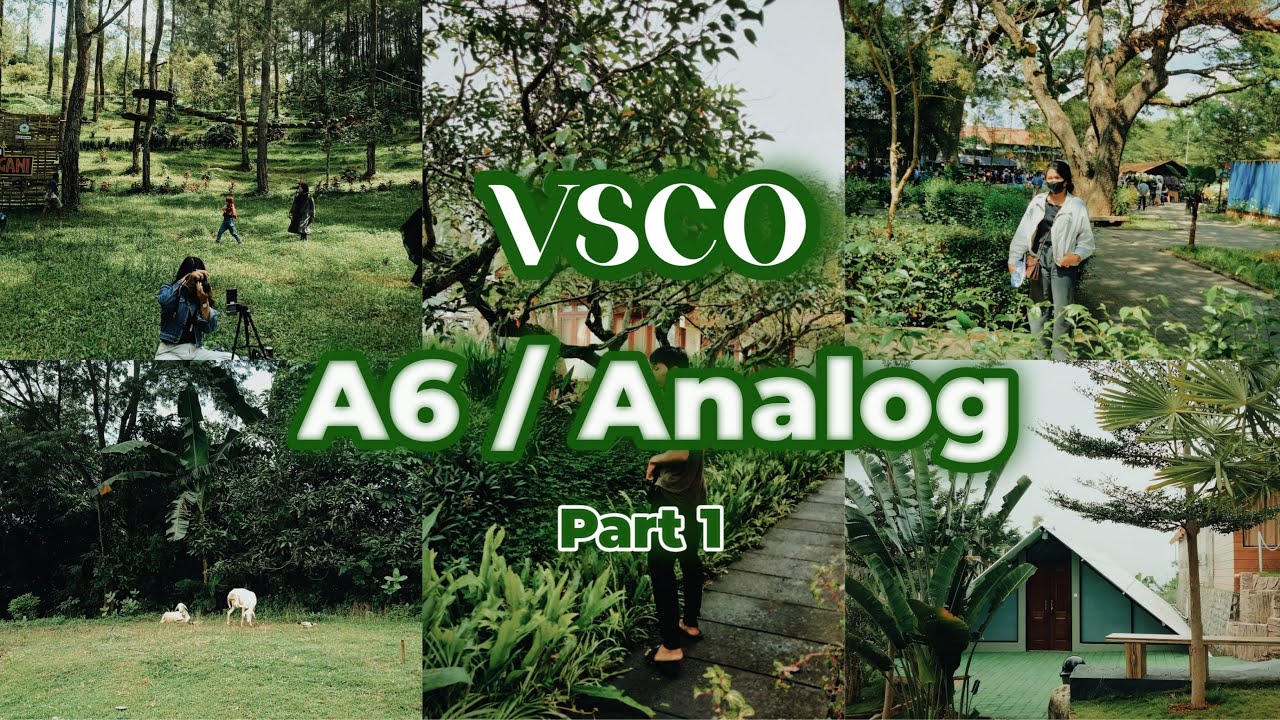 Vsco Tutorial aesthetic || A6 analog part 1