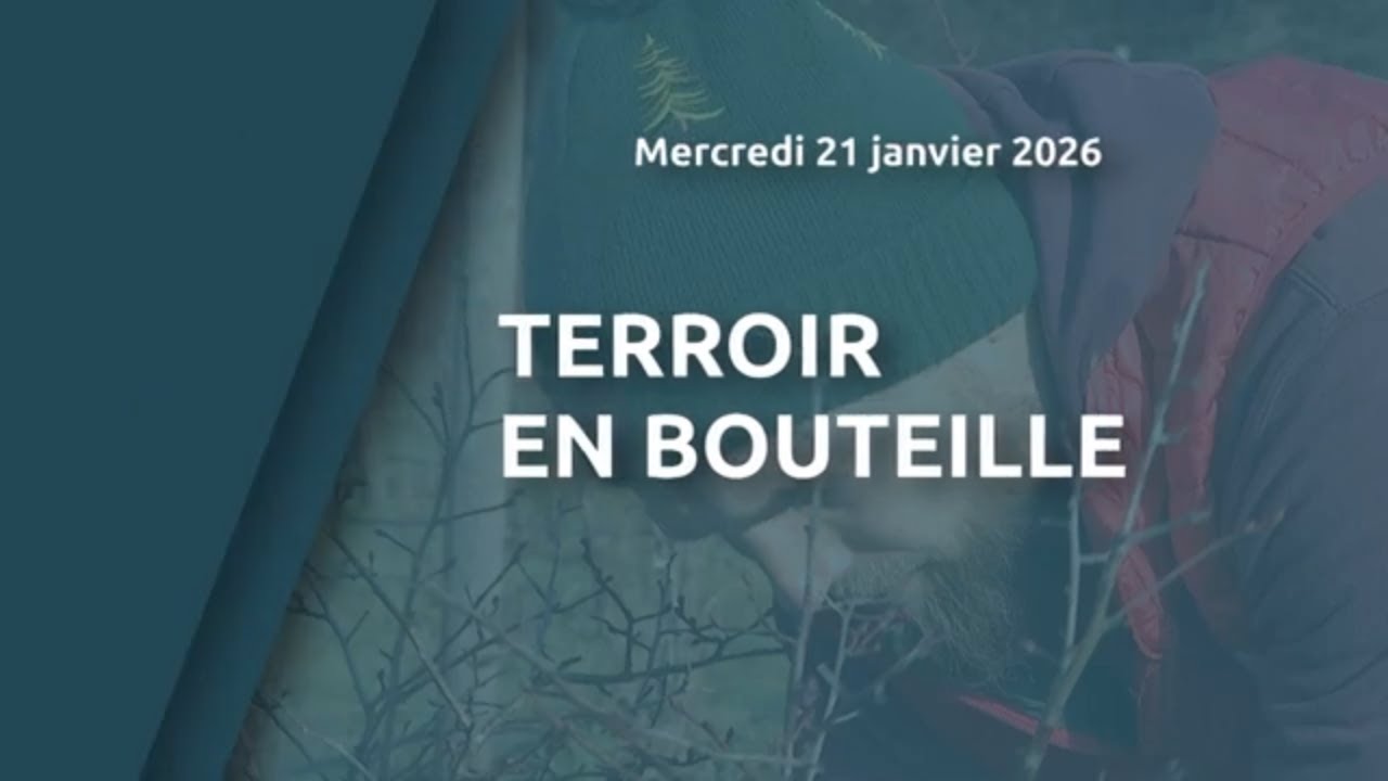 Terroir en bouteille