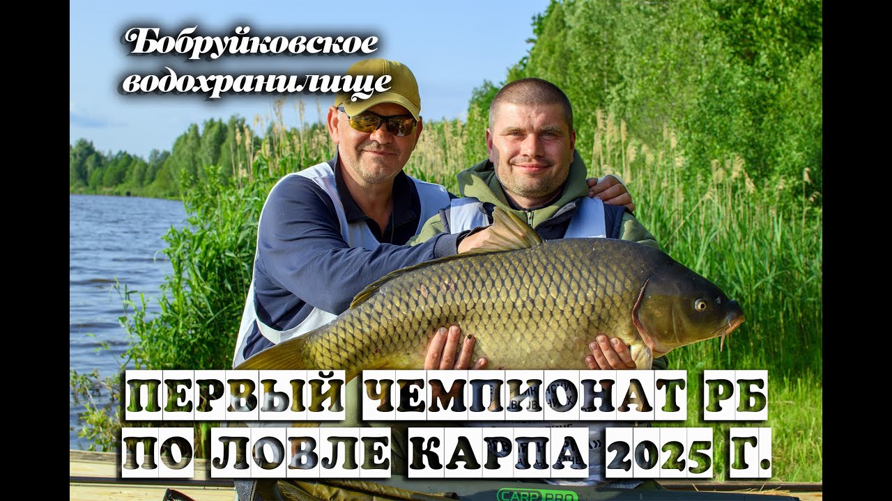 Первый чемпионат РБ по карпу 2025. Бобруйковское водохранилище