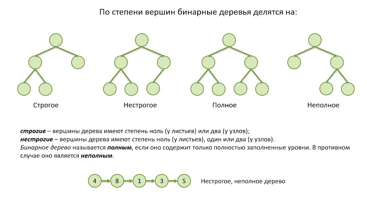 Лекция 10. Структуры данных. Деревья часть 1