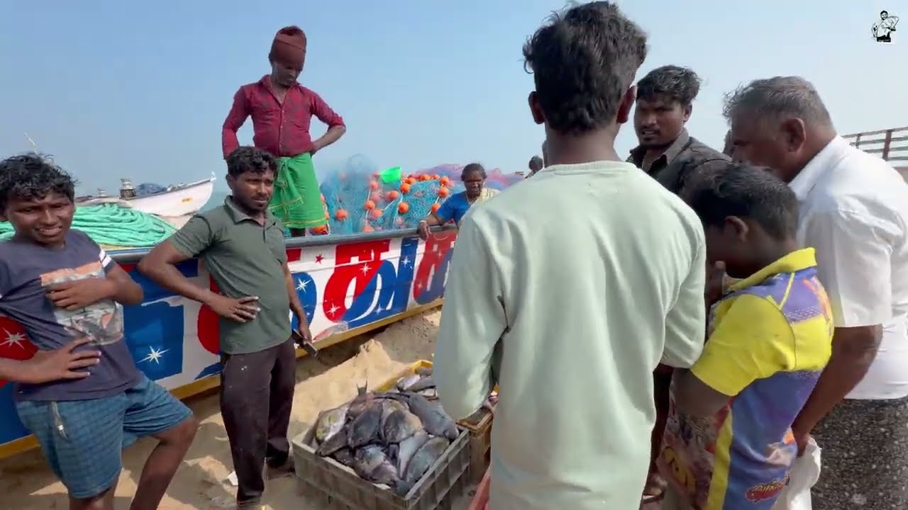 மஞ்ச பாறை மீன்கள் பலவகையான மீன்கள் ஒரே நேரத்தில் அள்ளியாச்சு 