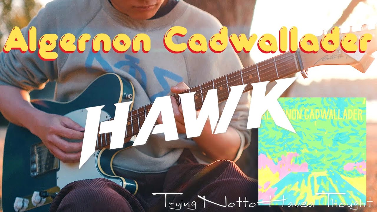 【TAB】 Algernon Cadwallader - Hawk  Guitar Cover