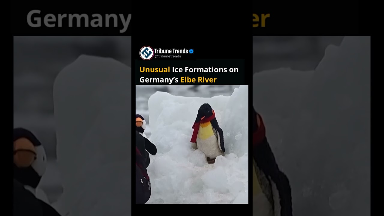Unusual Ice Formations on Germany’s Elbe River 