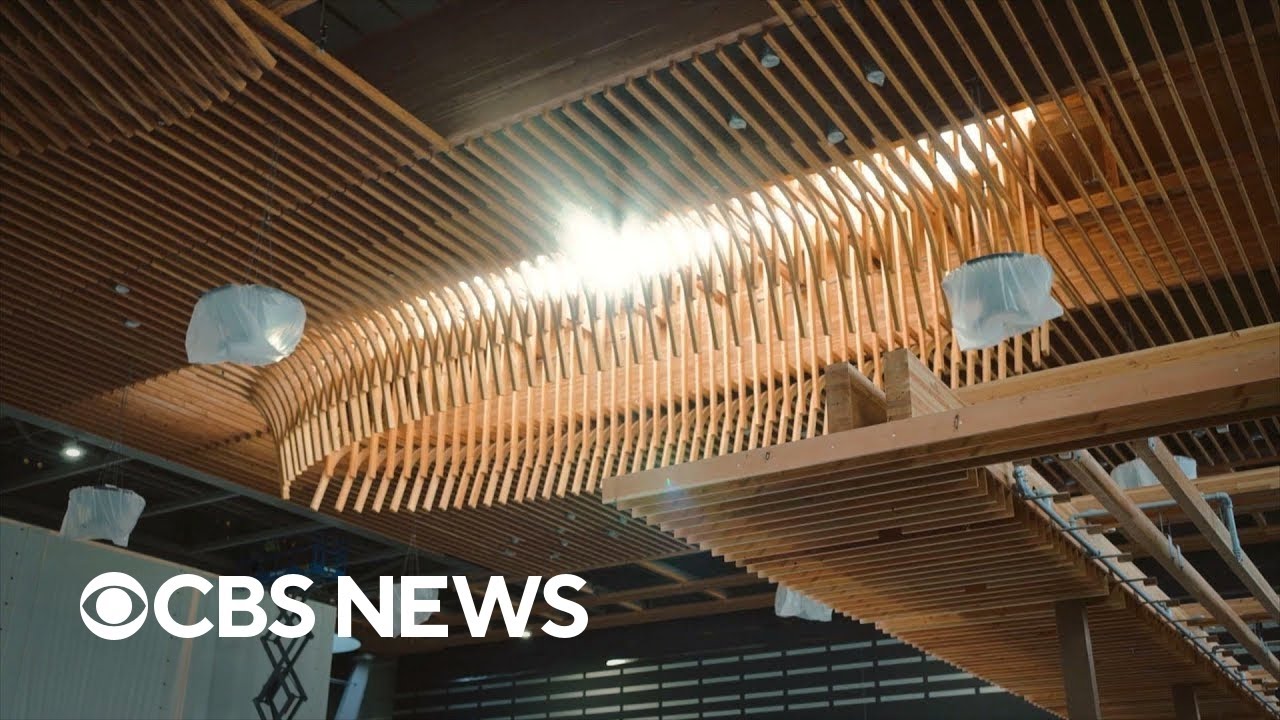 Inside America's mass timber movement