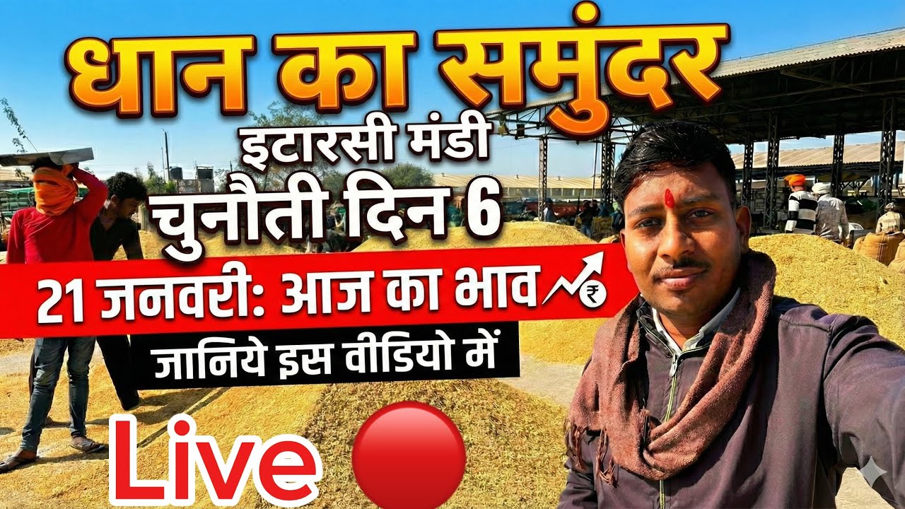 इटारसी मंडी live 🔴video || 21 जनवरी धान 🌾 #itarsimandibhav05 #paddyratetoday #mandibhav 