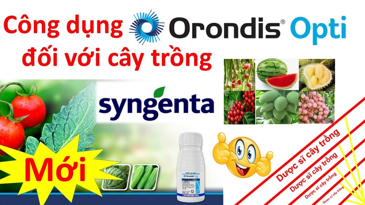 Sản phẩm mới Orondis Opti 406SC - Thông tin kỹ thuật sử dụng | Syngenta | bệnh sương mai | mốc sương