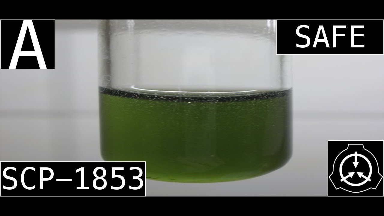 SCP-1853 