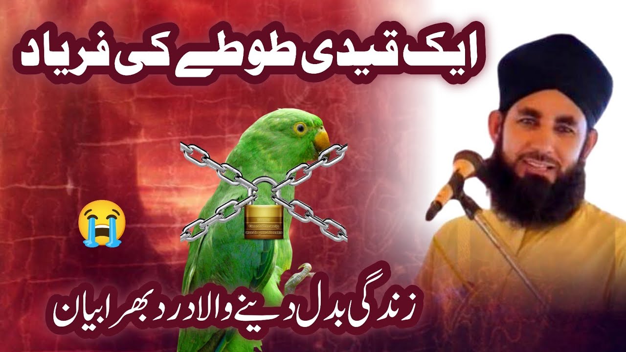 Allama Qari nabi janan salvi || kaidi tota khoobsurat waqia  || emotional 😭 beyaan New 2026